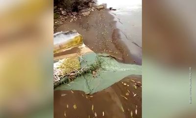 По факту слива в Волгу жидкости неестественного цвета природоохранная прокуратура начала проверку