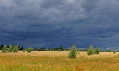 Региональное МЧС продлило действие экстренного предупреждения