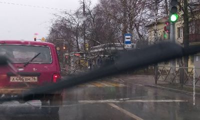 В Заволжском районе береза упала на остановку