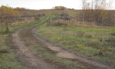 В Ярославской области близ населенного пункта на беременную женщину напал волк