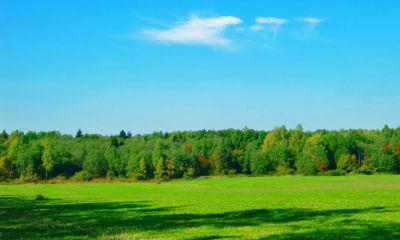 Жилищные субсидии по программе развития сельских территорий поможет получить специальная рабочая группа