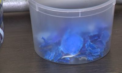 Биоразлагающийся или водопоглащающий: в регионе могут создать пластик с любыми свойствами