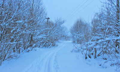 В Ярославле планируют открыть семь лыжных трасс