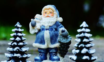 Позвонить Деду Морозу и Снегурочке лично: начала работу традиционная прямая линия