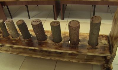 В Ярославской библиотеке для незрячих и слабовидящих установили макеты деревьев