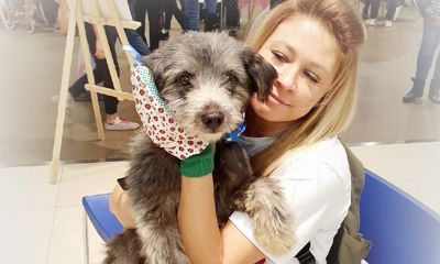 В Ярославле умерла известный зооволонтер