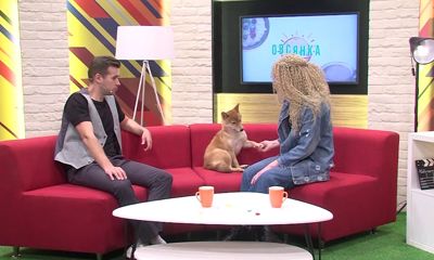 Утреннее шоу «Овсянка» от 07.01.21: вспоминаем лучшие эпизоды 2020 года