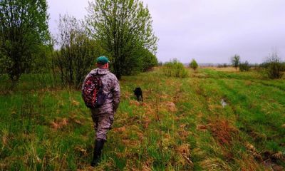 В Ярославской области вступили в силу новые правила охоты