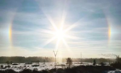 Жители Ярославской области наблюдали гало и световой лес