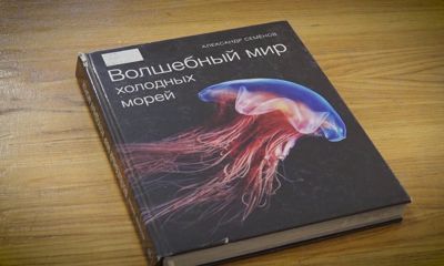 Утреннее шоу «Овсянка» от 19.01.21: улучшаем гибкость и читаем книги о Северном полюсе