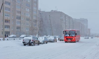 В мэрии Ярославля объявили о приостановке транспортной реформы