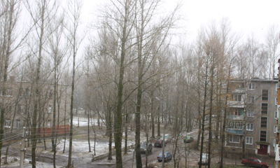 В МЧС предупредили ярославцев о дождях и сильной оттепели