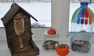 В Ярославском регионе проходит онлайн-флешмоб под названием «Съедобная кормушка»