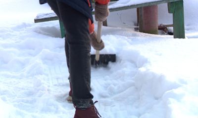 «Лучше бы взяли по лопате и очистили город!»: ярославцы недовольны несанкционированным митингом