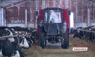 В Ярославской области увеличится грантовая поддержка малых форм хозяйствования