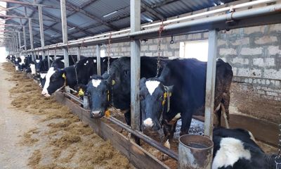 Сельхозпотребкооперативам Ярославской области выделят более 31 миллиона рублей