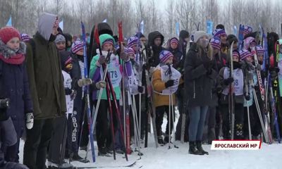 В Ярославле прошла массовая снежная гонка на лыжах