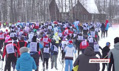 В лыжном забеге в Подолино приняли участие более 500 человек