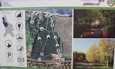 Ярославцы выберут, какими будут два городских парка