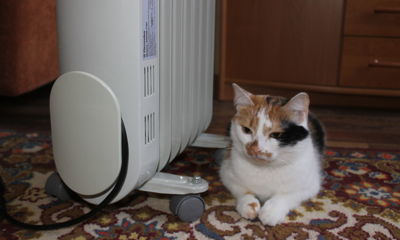 Часть домов в Ярославле остались без горячей воды и отопления