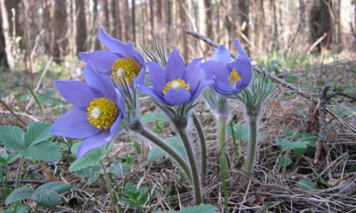 Будем жить по-новому: март принесет нововведения, касающиеся самых разных сфер