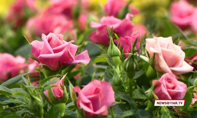 «Вам, любимые»: «Первый Ярославский» запустил конкурс к 8 марта