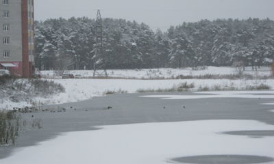 Весна откладывается: в Ярославле заметут метели, а затем похолодает
