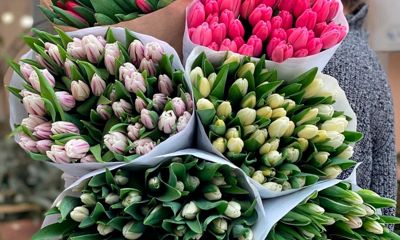 Дмитрий Миронов поздравил жительниц Ярославской области с 8 марта