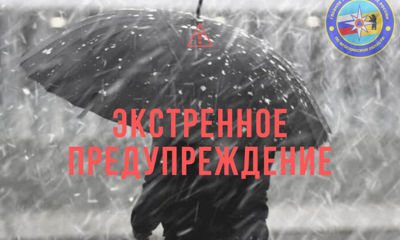 МЧС в Ярославской области обнародовало экстренное предупреждение в связи с возможной метелью