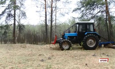 В Ярославской области оценили готовность к пожароопасному периоду в лесах