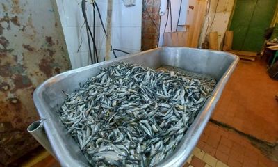 Ярославская область для борьбы с браконьерством получила новый катер