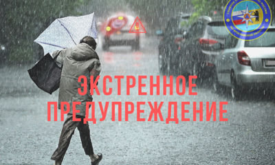 МЧС повторно предупредило о сильных порывах ветра в Ярославской области