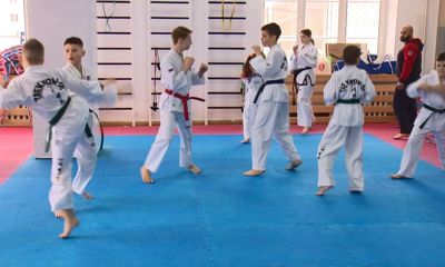 Ярославские тхэквондисты на первенстве ЦФО выиграли сразу восемь золотых медалей