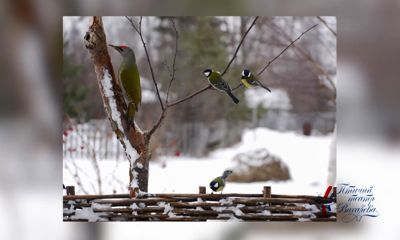 Утреннее шоу «Овсянка» от 02.04.21: знакомимся с фотохудожником и делаем плетеный брелок