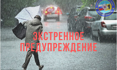 МЧС предупредило ярославцев о дожде, снеге и сильном ветре