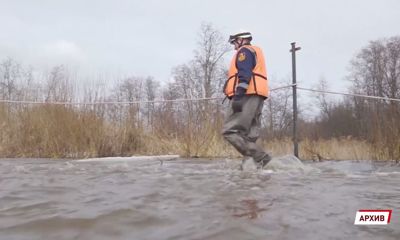 В Ярославскую область пришло большое половодье