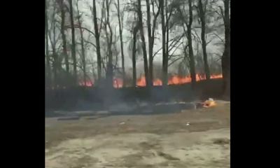 Огненная стена рядом с дорогой: в Ярославской области начались природные пожары