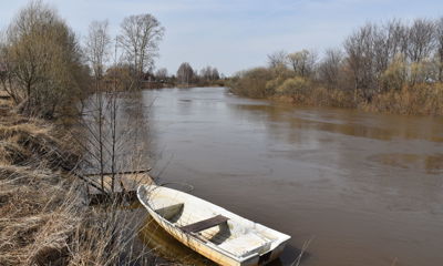 Реку Устье в Ярославской области обследовали на наличие загрязнений с помощью коптера