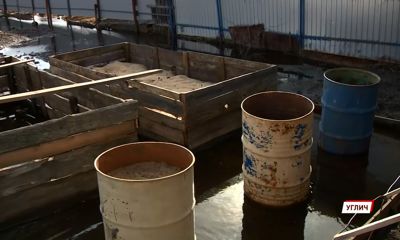 На месте садовых участков в центре Углича разлился пруд, в котором поселились утки