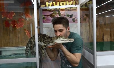 Посреди Ярославля поселились экзотические животные из тропиков