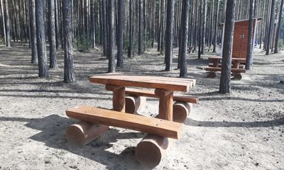 В лесах Ярославской области благоустроят две сотни мест для отдыха