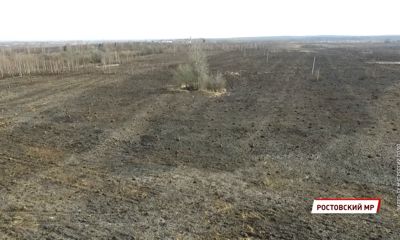 Круглосуточная борьба: в Ярославской области огонь уничтожил уже сотни гектаров полей