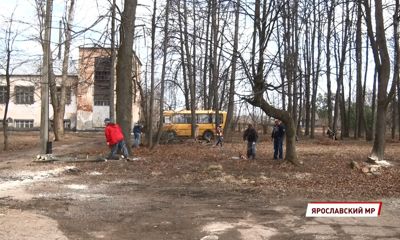 Депутаты помогают школьникам Ярославского района с весенней уборкой