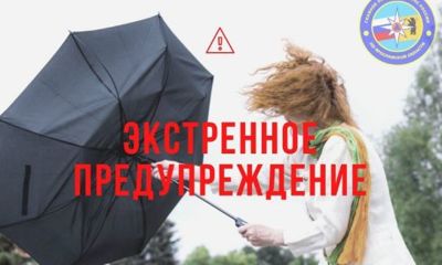 МЧС в Ярославской области выпустило экстренное предупреждение в связи с усилением ветра