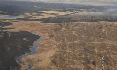 За выходные в Ярославской области огонь уничтожил больше 300 гектаров земли