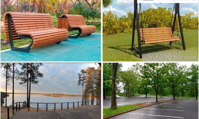 Мэр Ярославля представил проекты благоустройства Павловской рощи