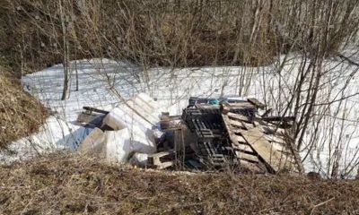 Под Ярославлем устанавливают виновных в загрязнении водоема