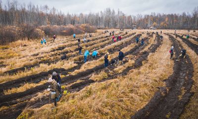 Предприятия Ярославской области смогут погасить свой углеродный след