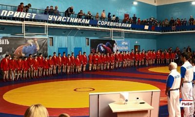 Ярославские самбисты взяли три медали на всероссийском турнире