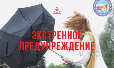 МЧС предупредило о возможной грозе в Ярославле и области